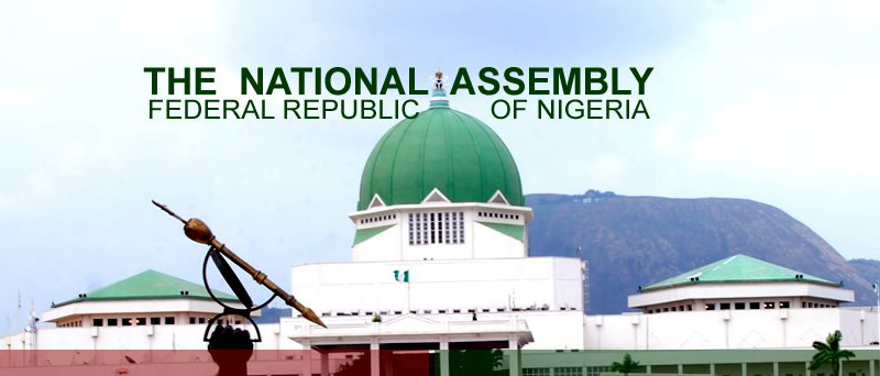 NIGERIA NASS VS THE PRESIDENCY ON THE CONSTITUTION AMENDMENT